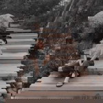 Toey Pitsamai profile icon