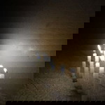 Grace ghene Clamor profile icon