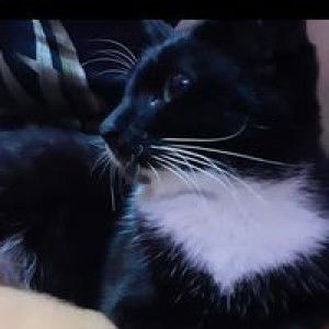 Wulan Safitry profile icon