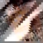 Ndhie Dhieaffandie profile icon