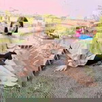 No Aanusara profile icon