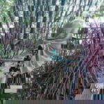 Rika Emon profile icon