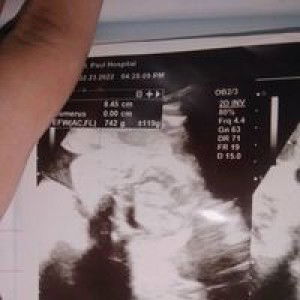 Jason Alarcon profile icon