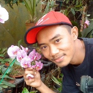 Muhammad Firdaus Mansor profile icon