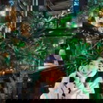 Nisuhaila Tabaroh profile icon