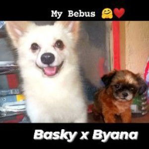 Melody Exevia profile icon