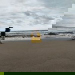 Nenk Vey profile icon