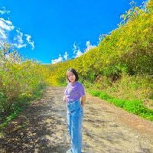 สี ม่วง'ง profile icon