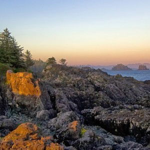 Mommy to be profile icon