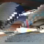 Wahdania Wahda profile icon