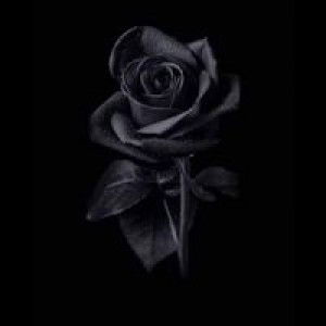 Brilliant Sariaya-Glady Mendoza Alcantara profile icon