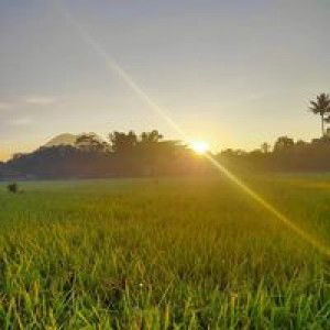 Niaa Watyy profile icon