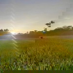 Niaa Watyy profile icon