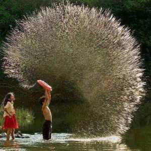 DONI RIFAI profile icon