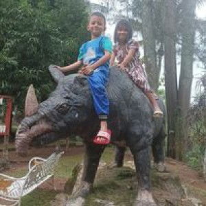 Asti Susanti profile icon