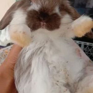 RIries Imuetz profile icon