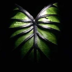 Zuliana Mona profile icon