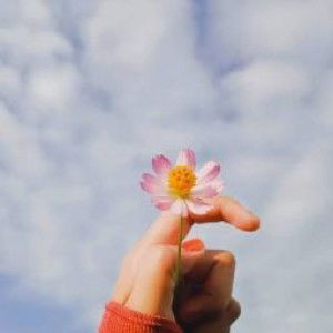 Nurlaila Nisa profile icon