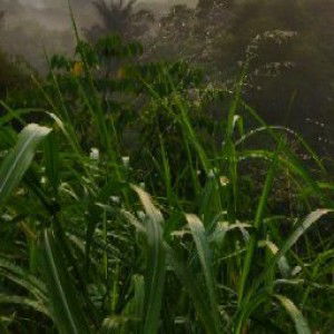 Unknown Guy profile icon