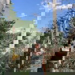 ชนานันท์ มะโนคำ profile icon