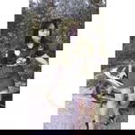 มีดอและ รอแซะรูนะ profile icon