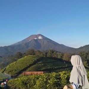 kartika handini profile icon