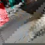 dwi desfania profile icon