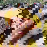 Retno Dwi profile icon