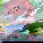 Cristine Montemayor - Layco profile icon