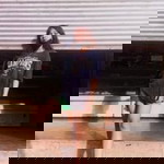 Shengg Shengg profile icon