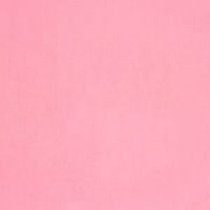 Cindy Clarissa profile icon