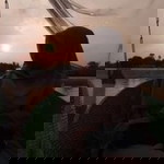 Niadewi profile icon