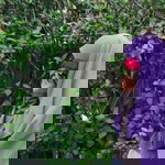 Wan Syamimi profile icon