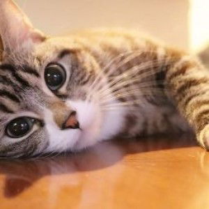 Divine Grace Asumbrado profile icon