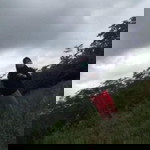 Oktaviana Ratna profile icon