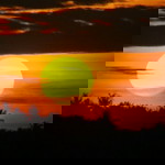 Andika Andika profile icon