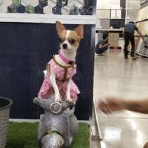 แล้วไง ใครสน profile icon