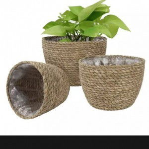 Grace Bangi profile icon