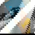 Niphawan Khonman profile icon