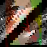 Ey Ri Es profile icon