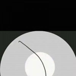 Silva ApriLia profile icon