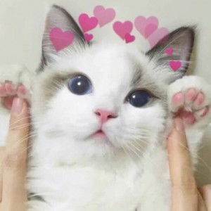 Lintang A Ramadhanty profile icon