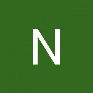 Nurnadzirah Sulaiman profile icon