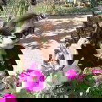 สุชาดา า.ฯ profile icon