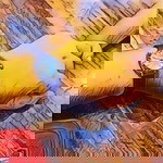 Zhafira profile icon