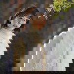 Grace Ann Delfin profile icon