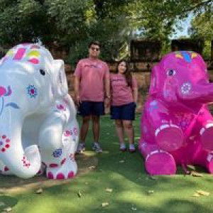 Taksina Sadoyu profile icon