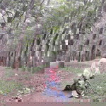 Gesvi Aptarila profile icon