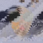 Nhf Nyy profile icon