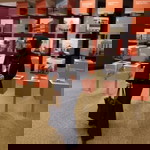 Nuur Haslinda Abu Hassan profile icon